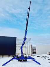 Mini crane with high lifting capacity and reach